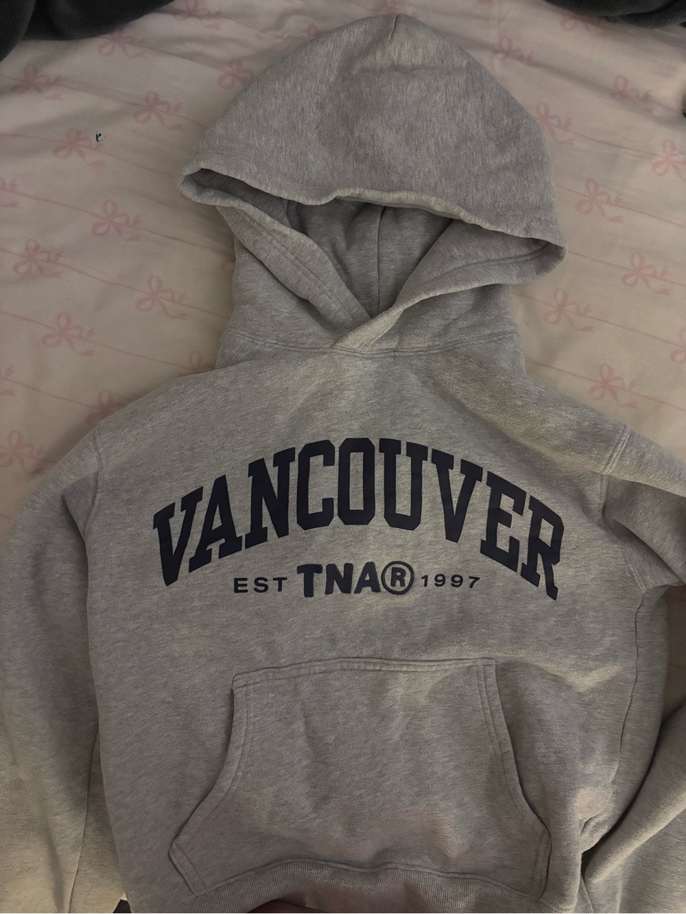 Aritzia TNA Grey Vancouver Hoodie with Navy Print